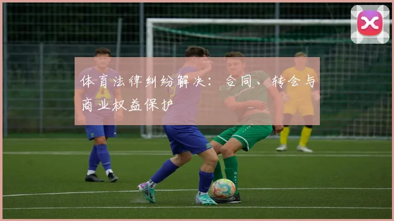体育法律纠纷解决：合同、转会与商业权益保护